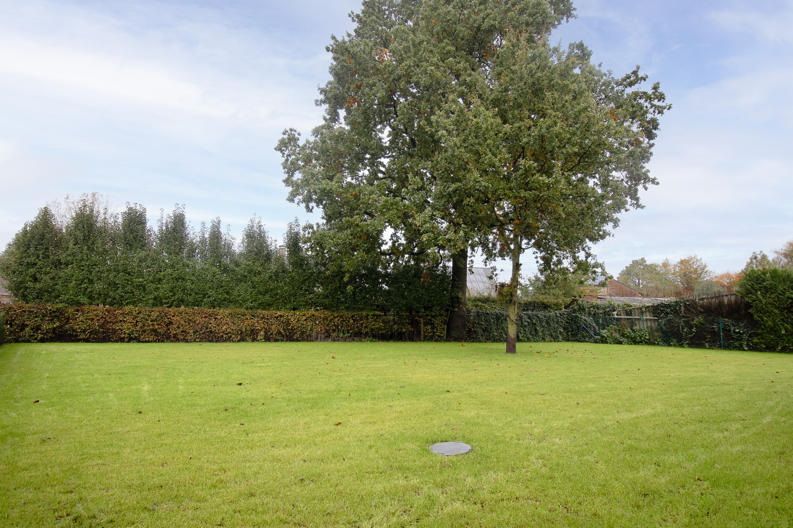img_0543-bewerkt.jpg