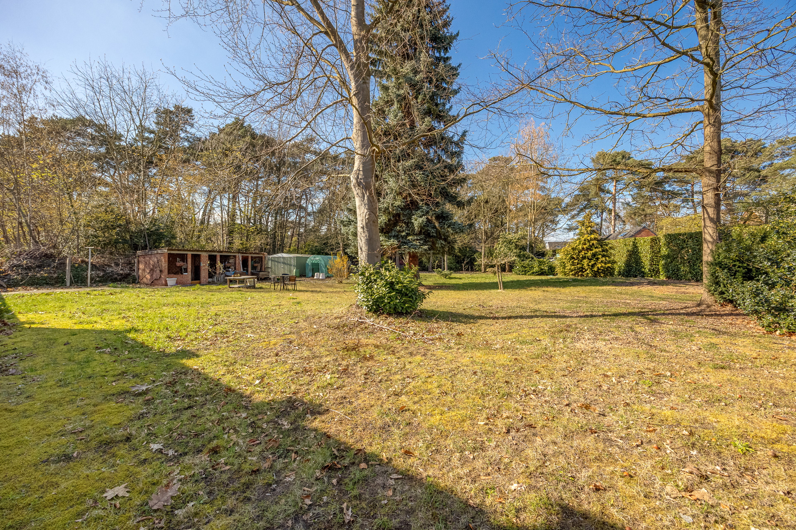 onid-20260319-1-10.jpg