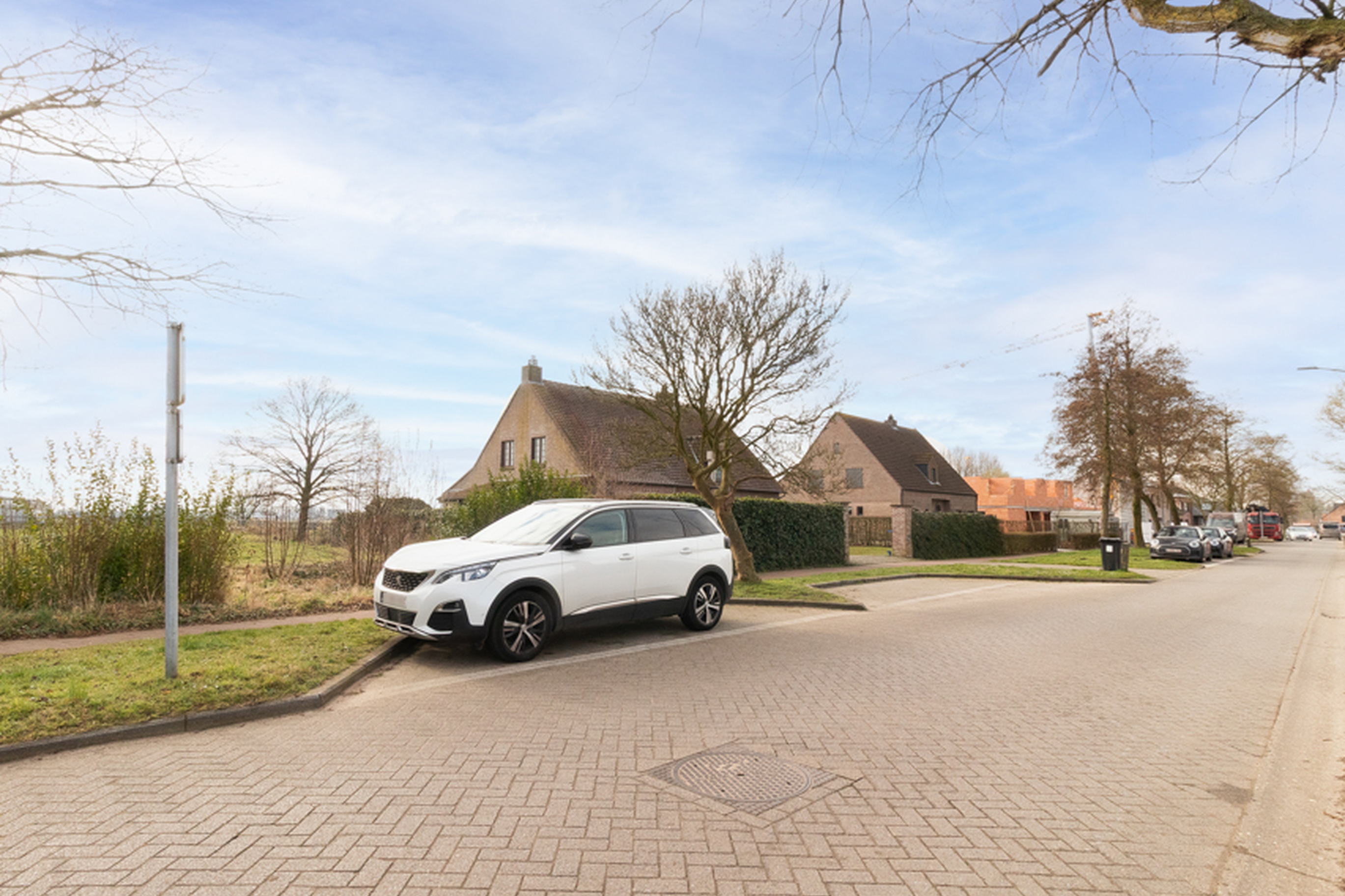 tekoop_borsbeek-5.jpg